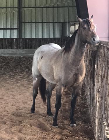 Fling Ta Famous - Sold