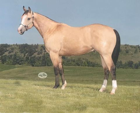 Hez Country Smooth - Sold