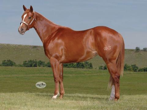 Sheza Hottie Guys - Sold